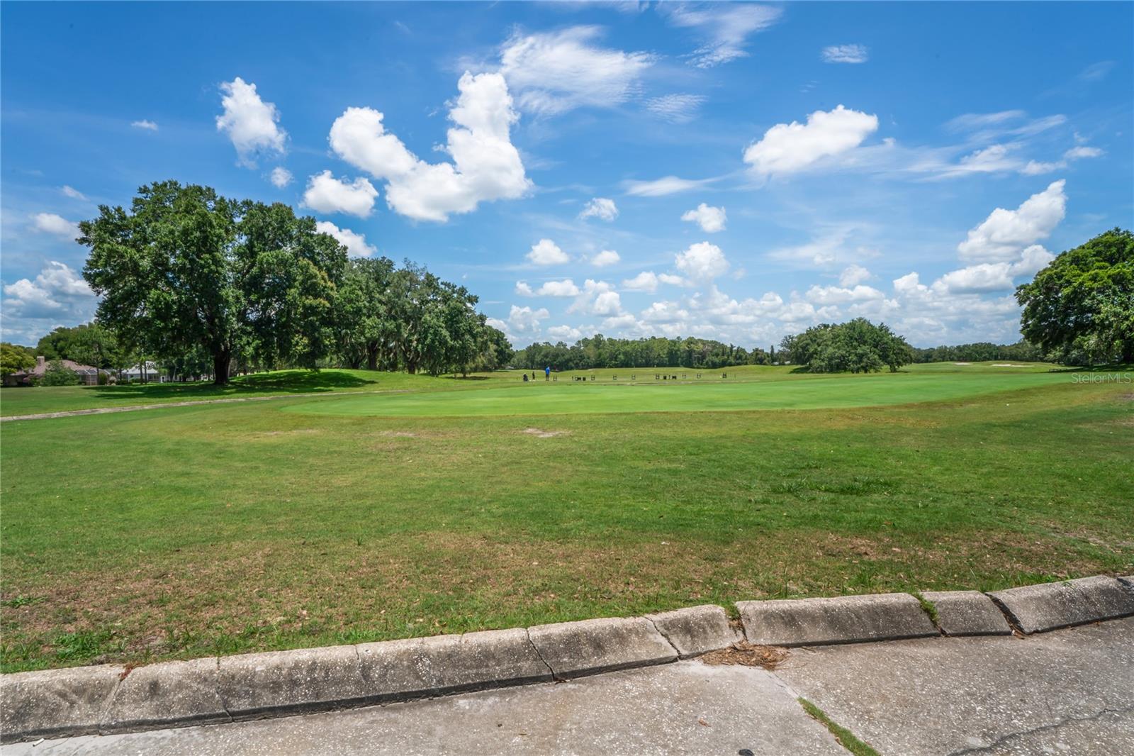 14466 TAMARIND LOOP, SPRING HILL, FL — photo 81