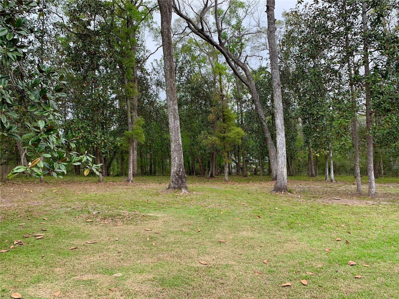 11651 NW 127 LN, CHIEFLAND, FL — photo 9