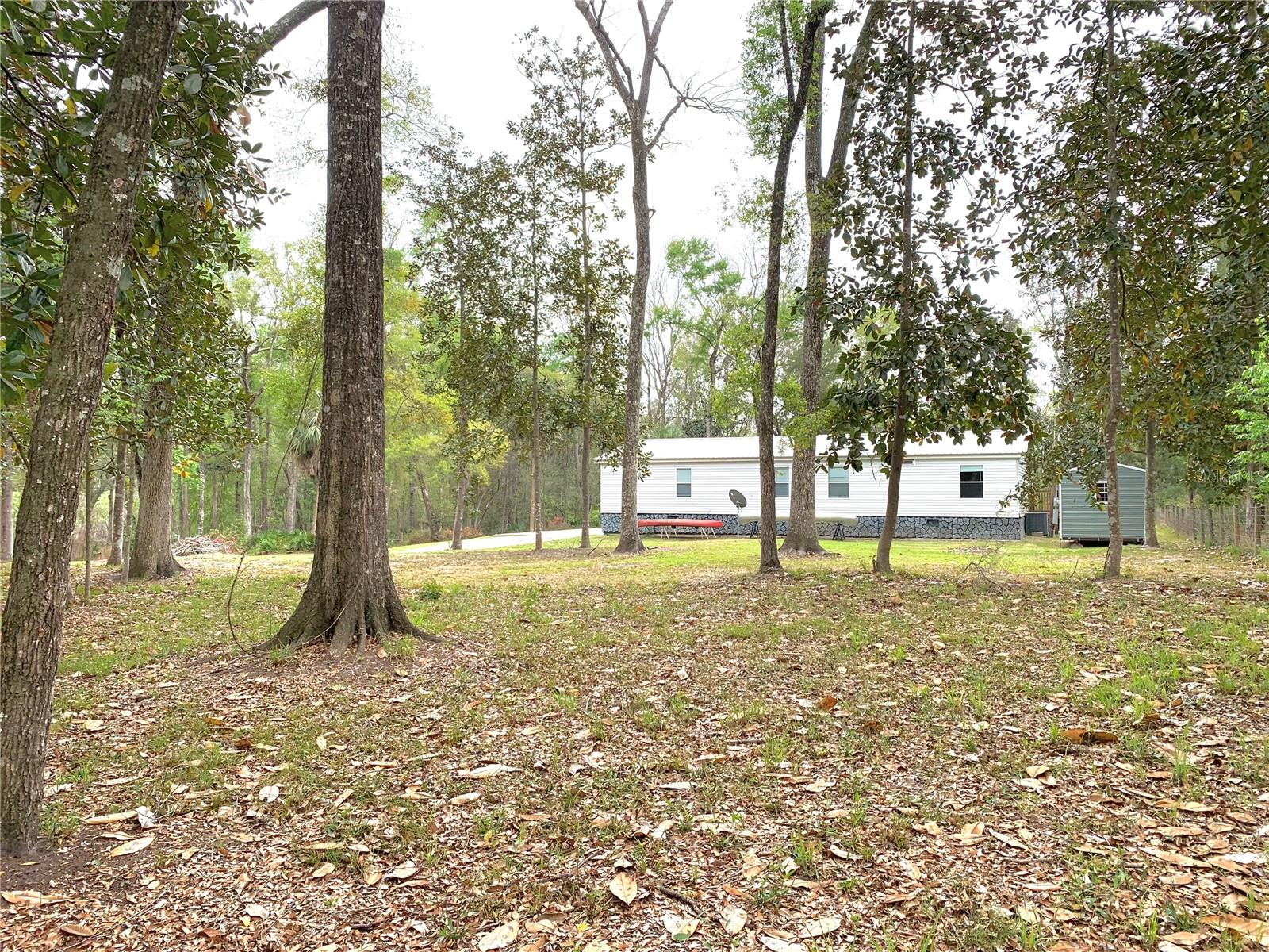 11651 NW 127 LN, CHIEFLAND, FL — photo 11