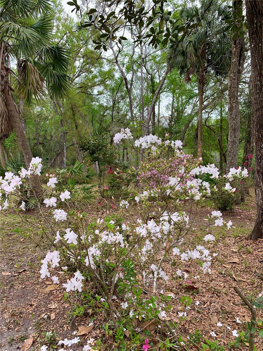 11651 NW 127 LN, CHIEFLAND, FL — photo 15
