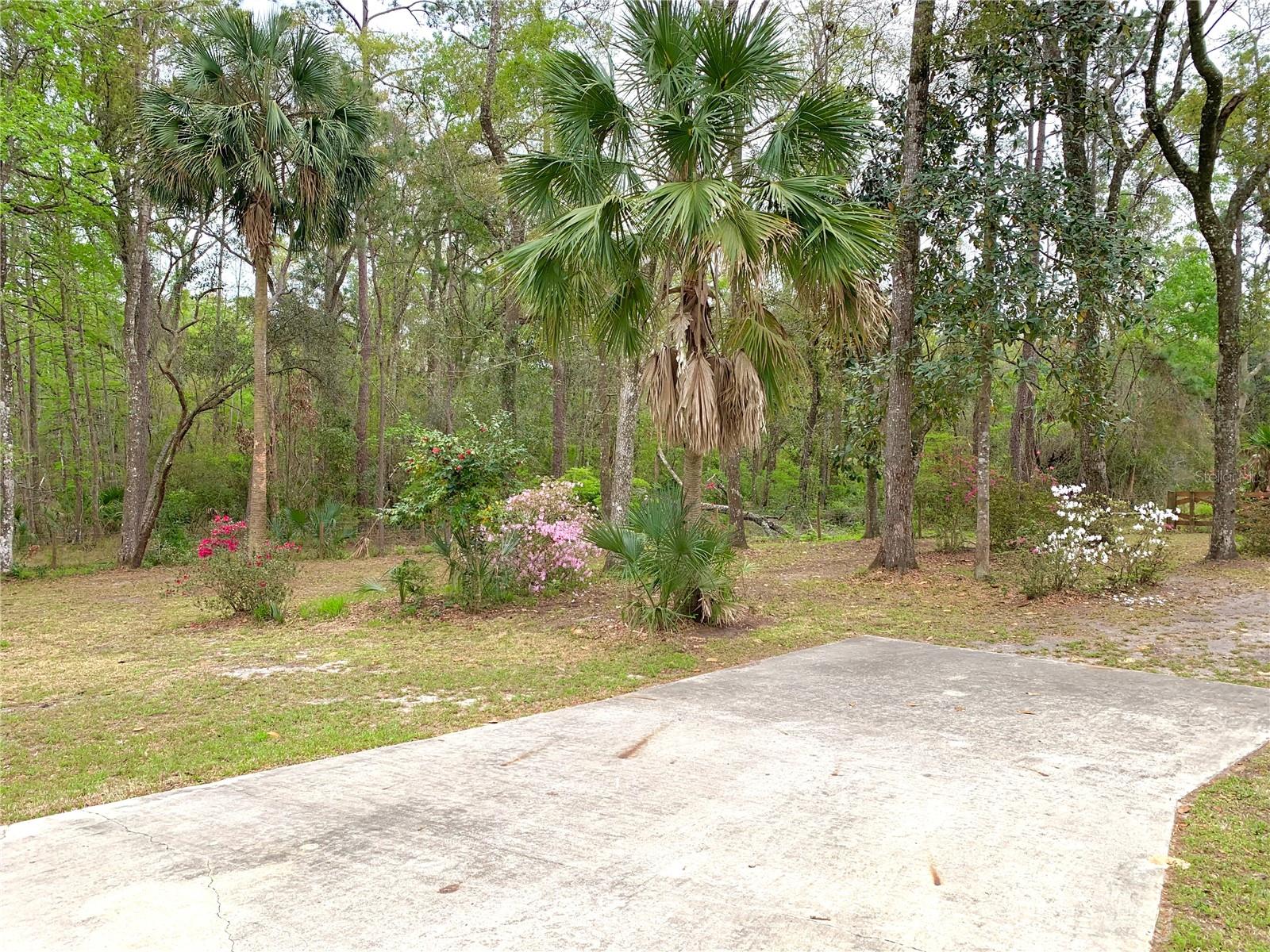 11651 NW 127 LN, CHIEFLAND, FL — photo 46