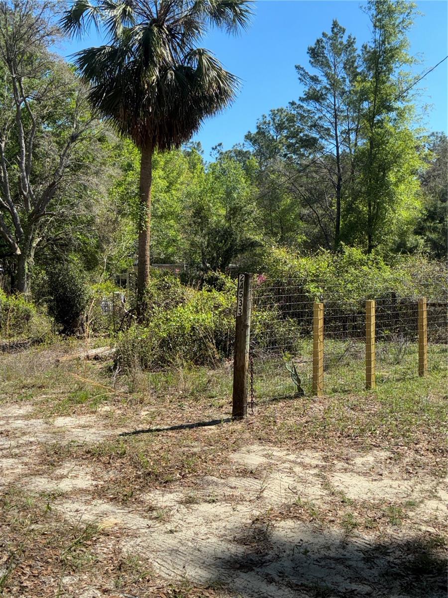 24533 PINK PANTHER RD, PAISLEY, FL — photo 54