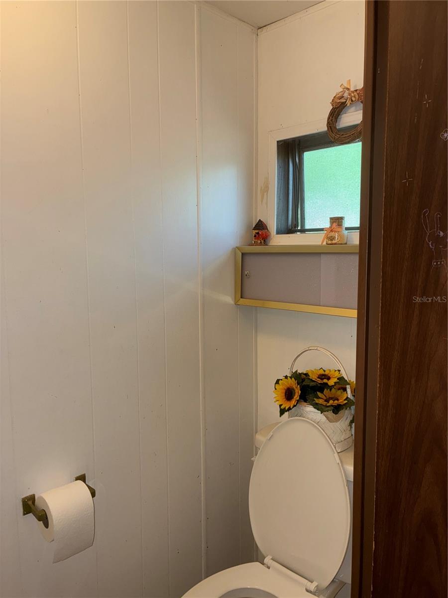 24533 PINK PANTHER RD, PAISLEY, FL — photo 40