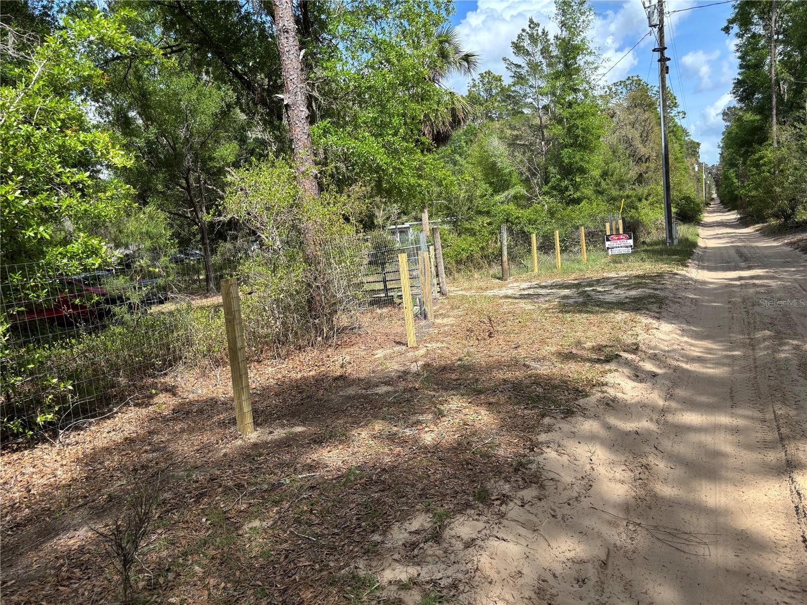 24533 PINK PANTHER RD, PAISLEY, FL — photo 4