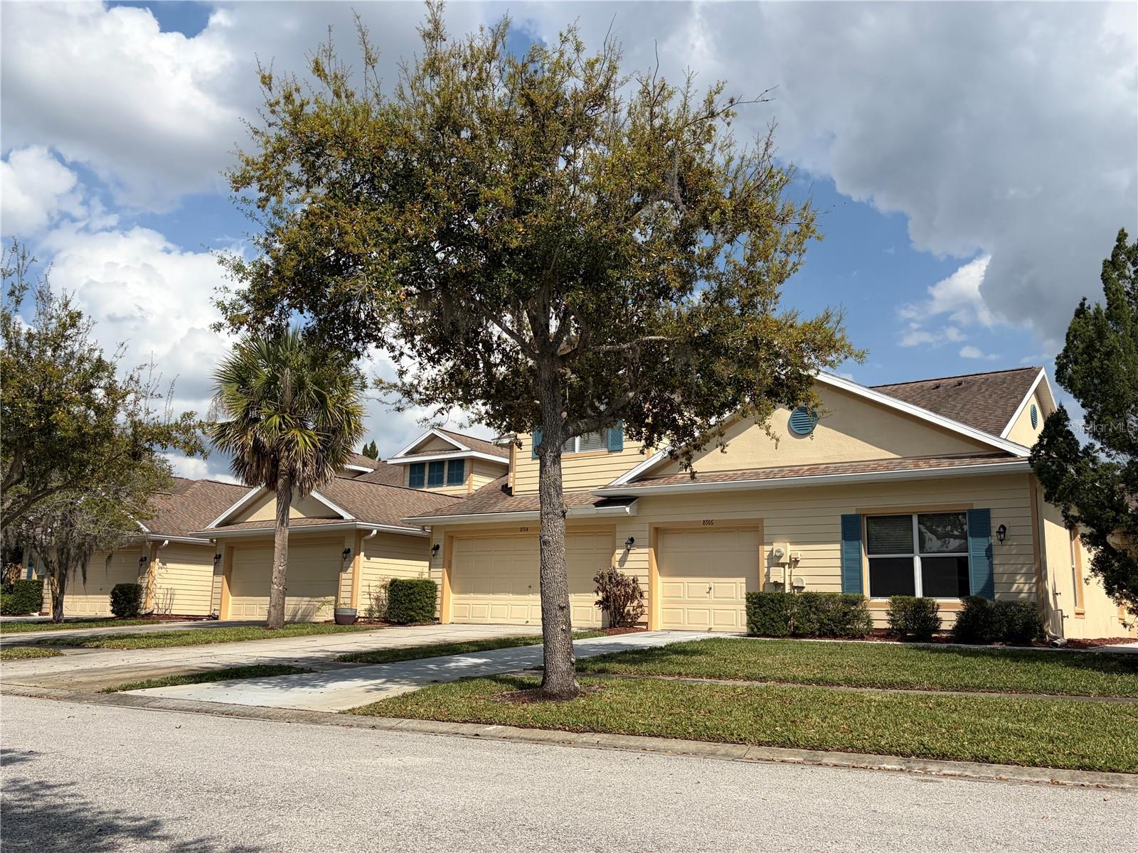 8914 IRON OAK, TAMPA, FL — photo 4