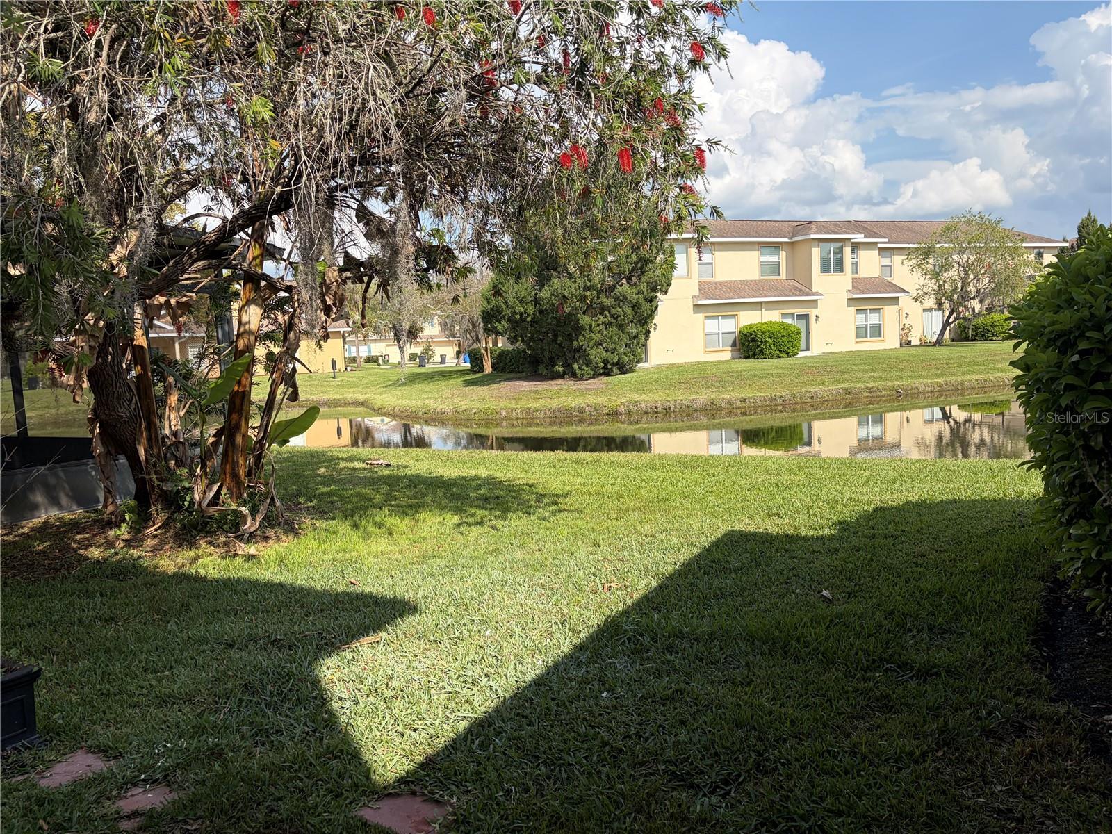 8914 IRON OAK, TAMPA, FL — photo 3