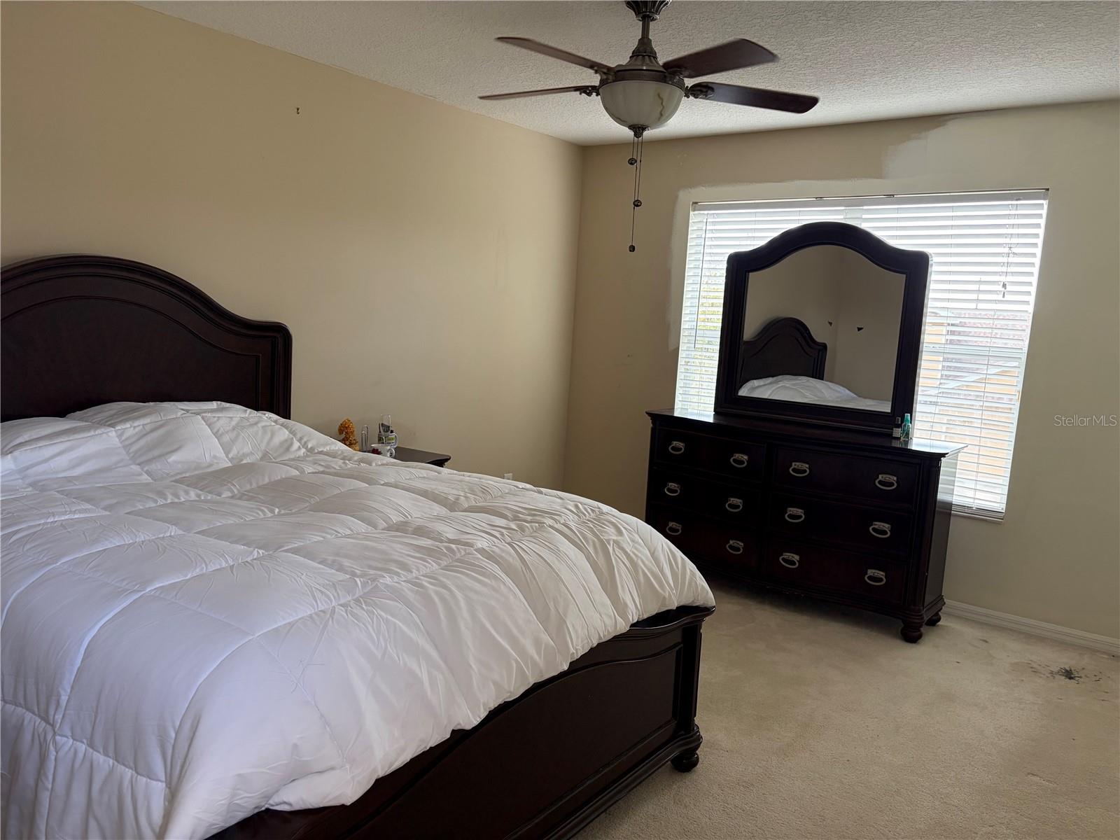 8914 IRON OAK, TAMPA, FL — photo 18