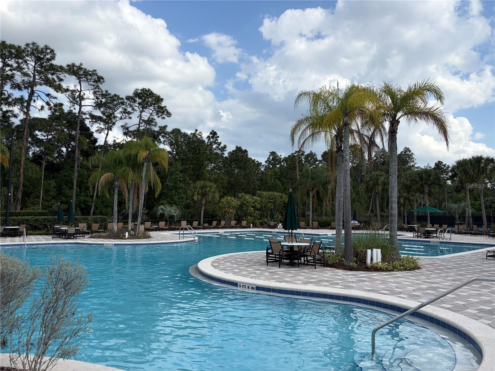 8914 IRON OAK, TAMPA, FL — photo 30