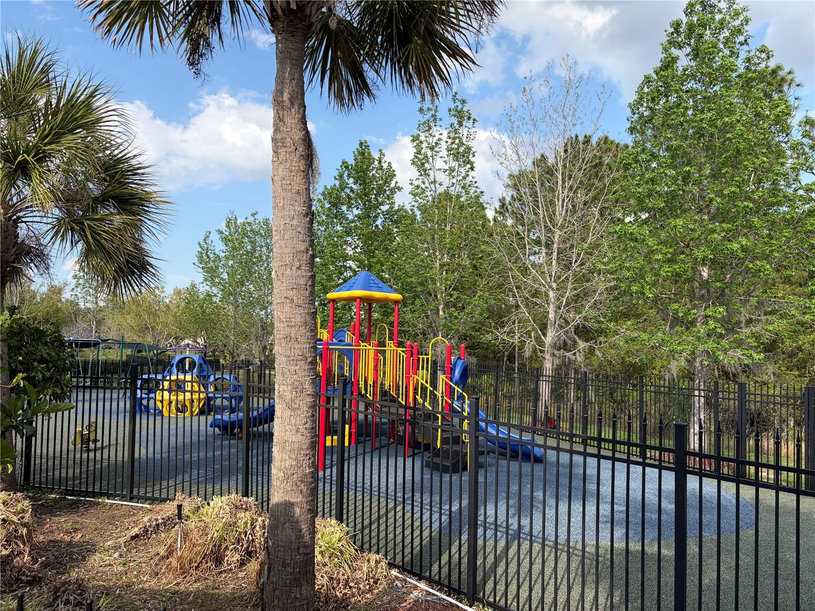 8914 IRON OAK, TAMPA, FL — photo 33