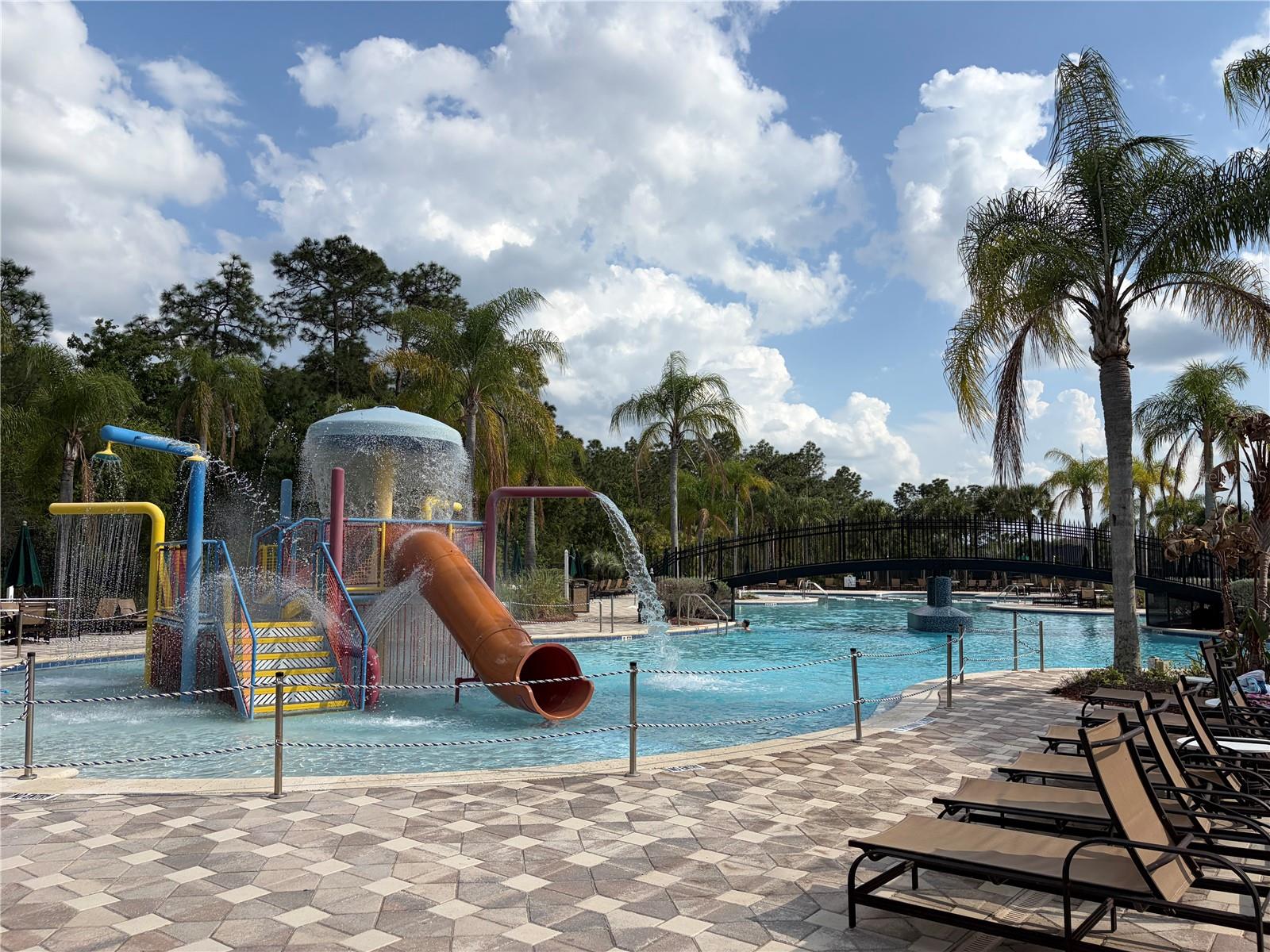 8914 IRON OAK, TAMPA, FL — photo 34