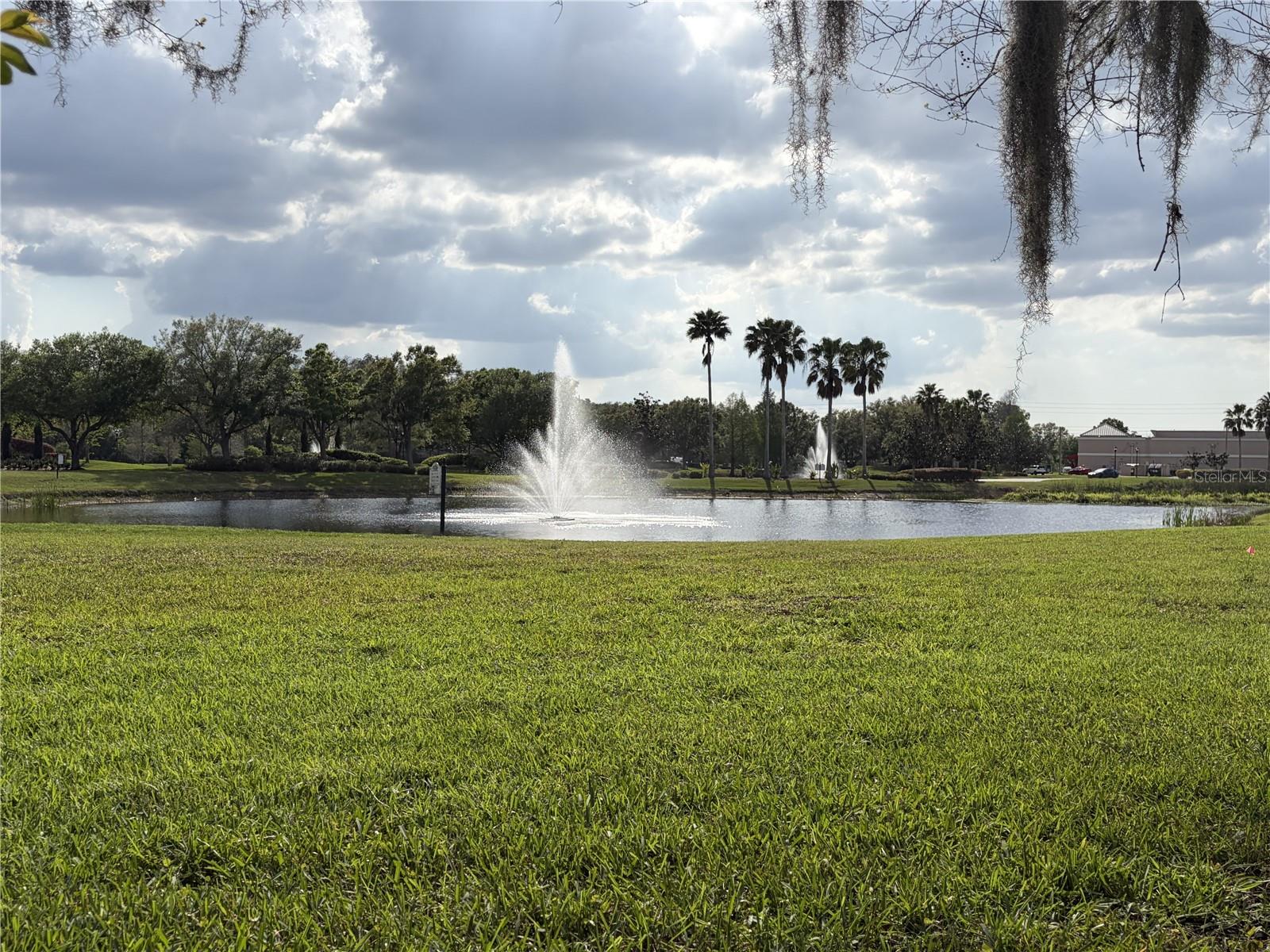 8914 IRON OAK, TAMPA, FL — photo 43