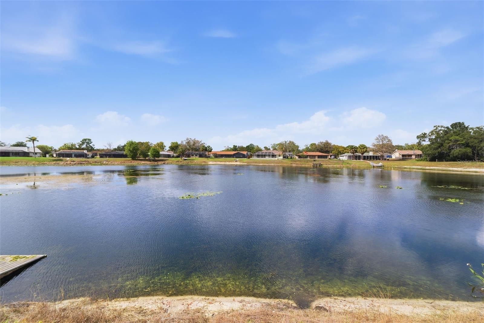 9151 LINGROVE RD, WEEKI WACHEE, FL — photo 2