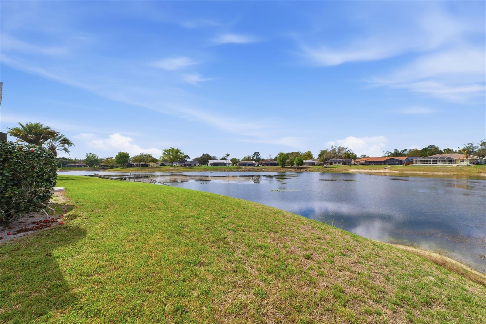 9151 LINGROVE RD, WEEKI WACHEE, FL — photo 19