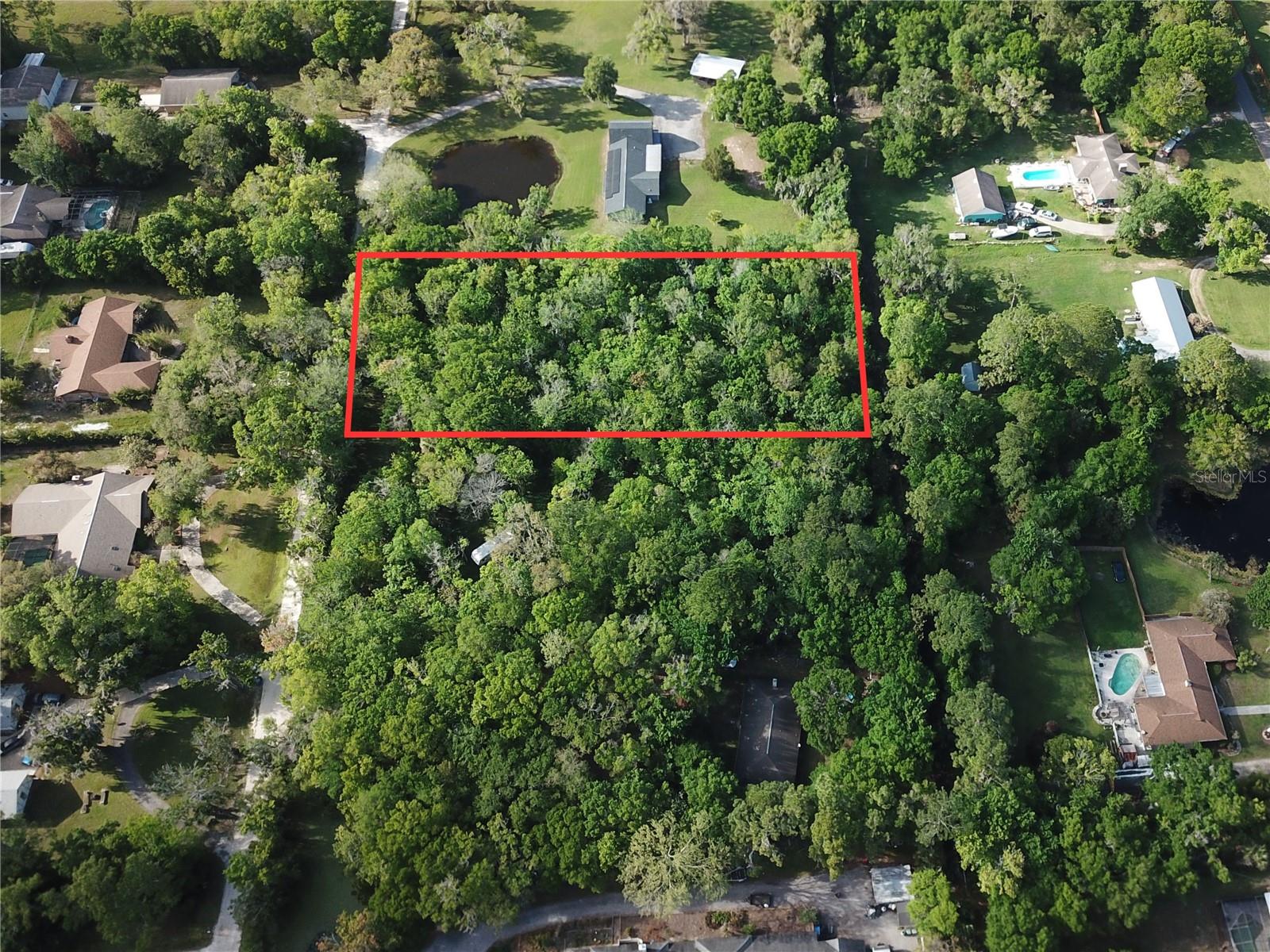 2895 W INDIAN RIVER BLVD, EDGEWATER, FL — photo 9