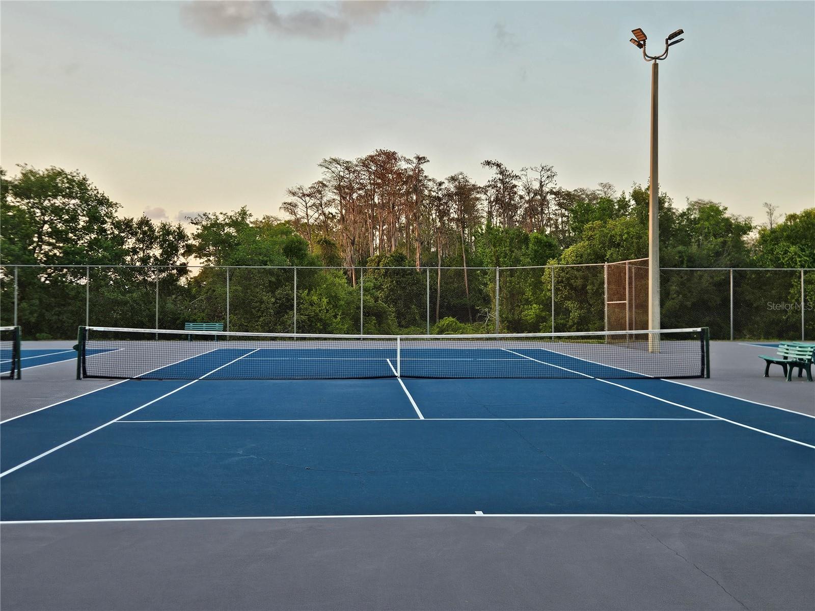 11730 WHITEWING CT, ORLANDO, FL — photo 22