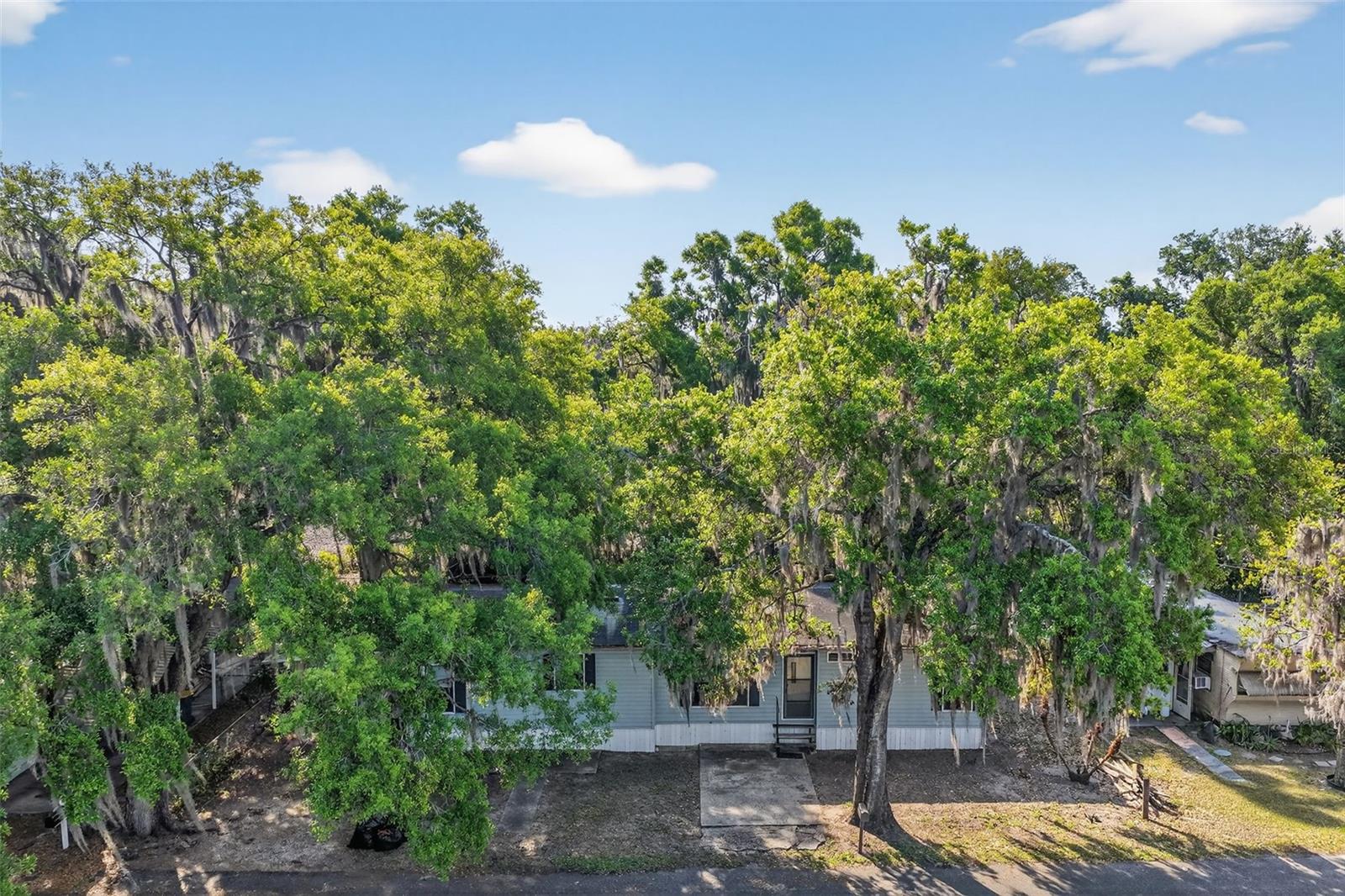 904 MAPLEWOOD ST, TAVARES, FL — photo 4