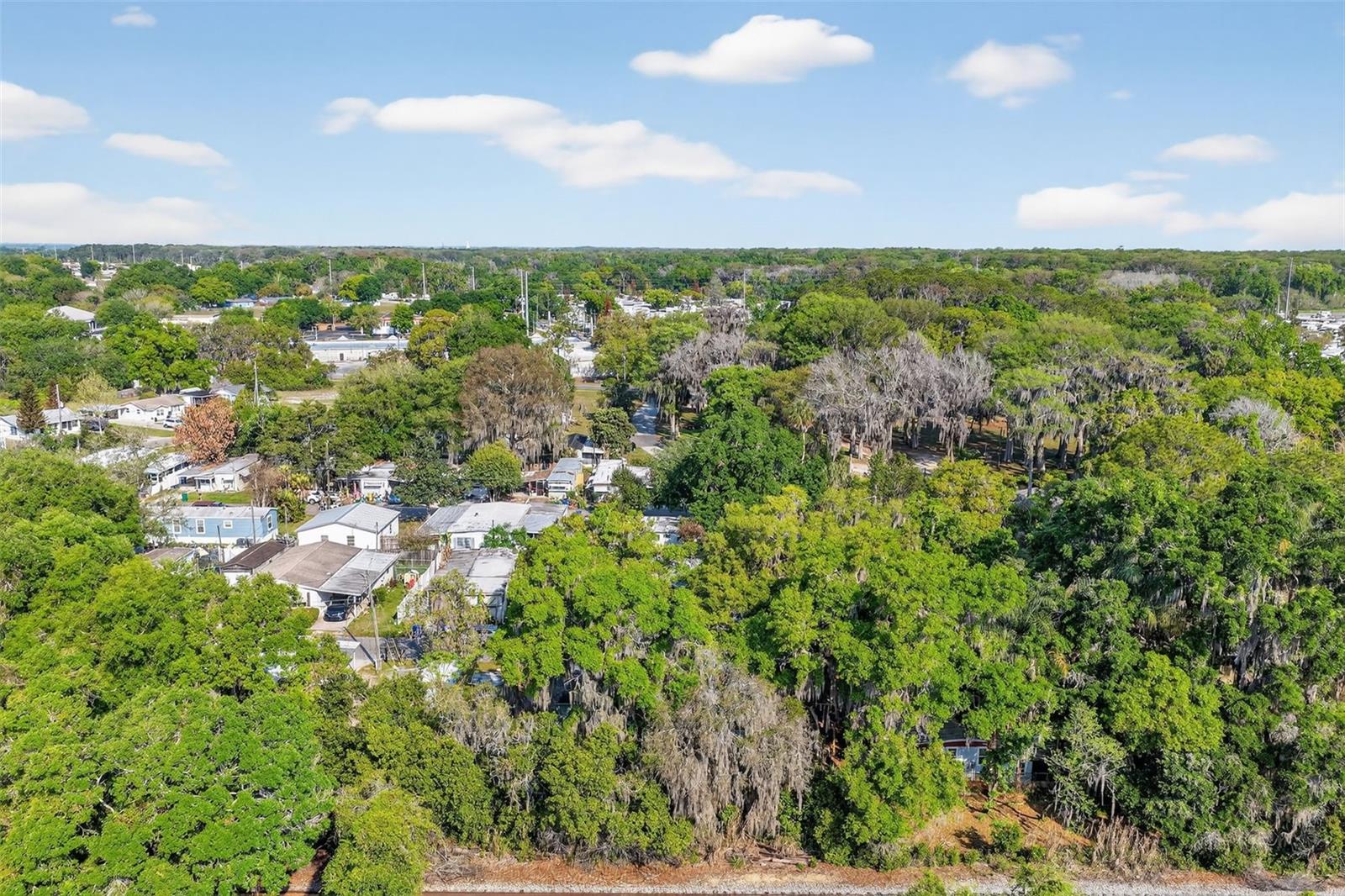 904 MAPLEWOOD ST, TAVARES, FL — photo 10