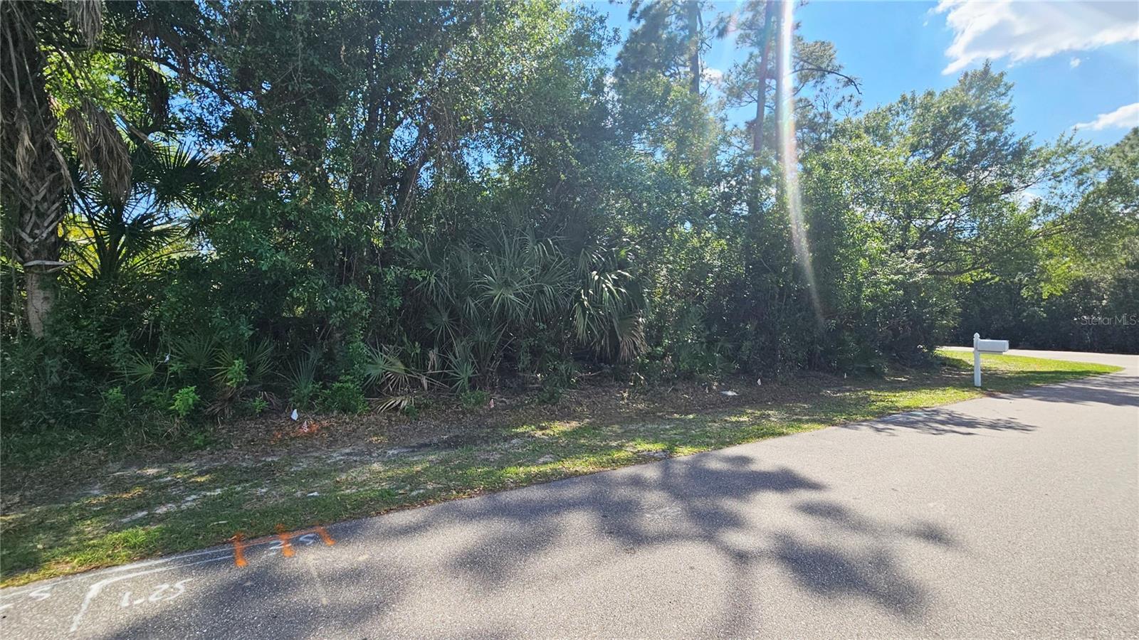 23039 & 23047 AUGUST LOTS 24 & 25 AVE, PORT CHARLOTTE, FL — photo 5