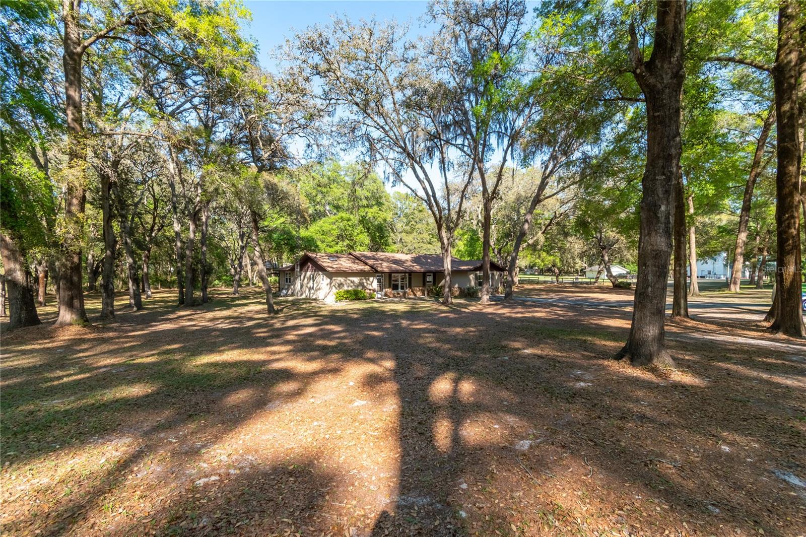 3005 SE 160TH LANE RD, SUMMERFIELD, FL — photo 51