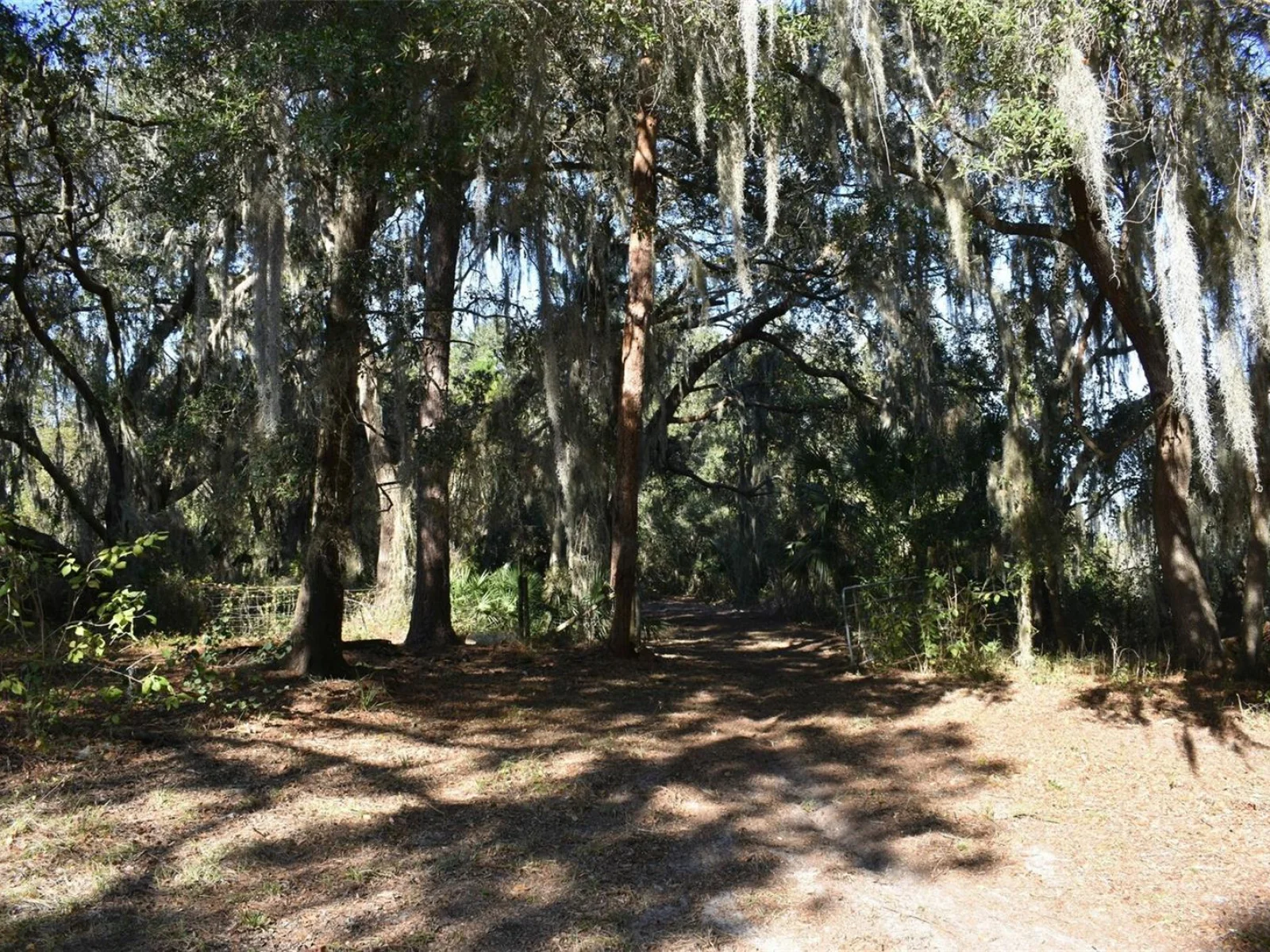 13800 COUNTY ROAD 450, UMATILLA, FL — photo 65