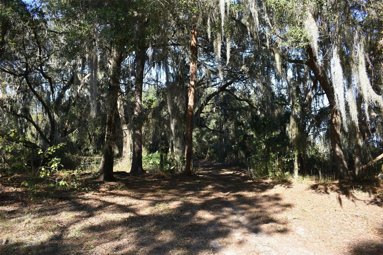 13800 COUNTY ROAD 450, UMATILLA, FL — photo 66