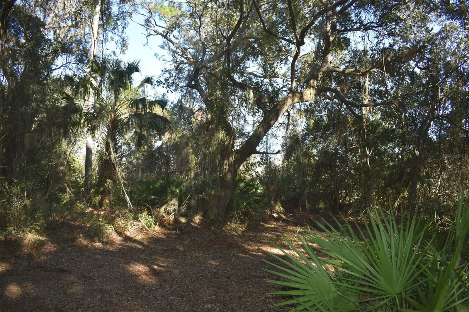 13800 COUNTY ROAD 450, UMATILLA, FL — photo 69