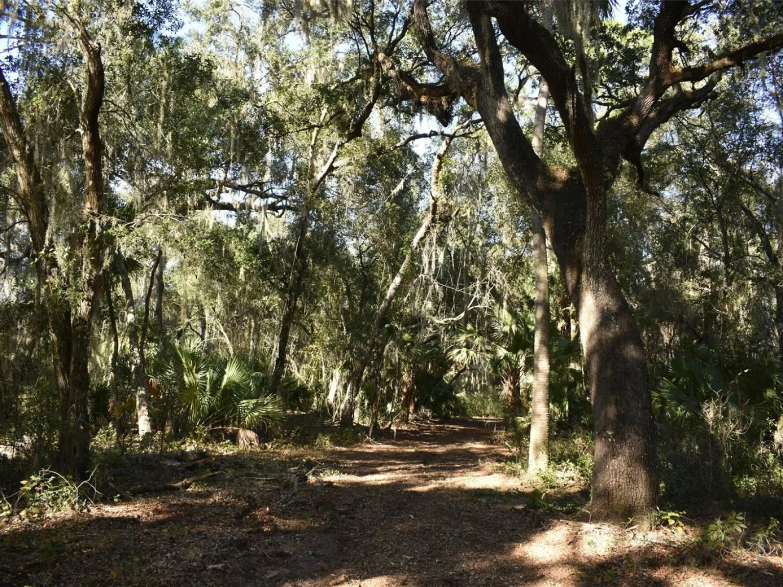 13800 COUNTY ROAD 450, UMATILLA, FL — photo 71