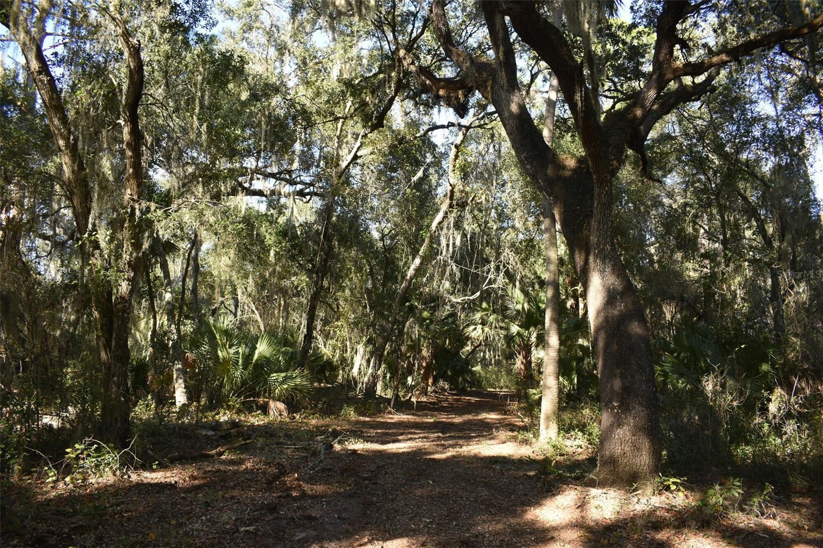 13800 COUNTY ROAD 450, UMATILLA, FL — photo 72