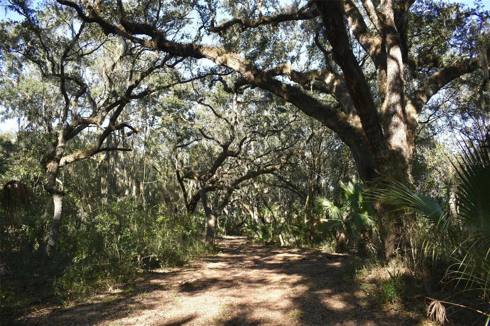 13800 COUNTY ROAD 450, UMATILLA, FL — photo 73
