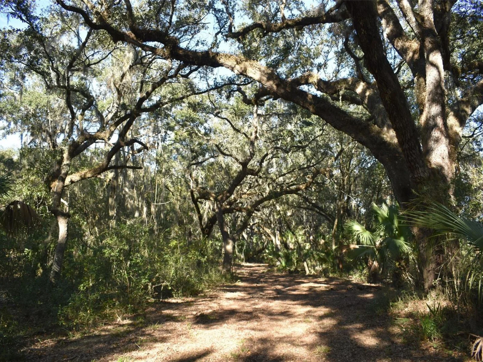 13800 COUNTY ROAD 450, UMATILLA, FL — photo 76