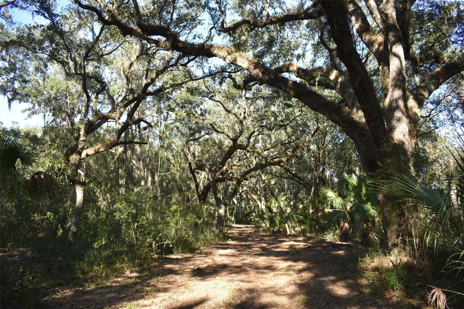 13800 COUNTY ROAD 450, UMATILLA, FL — photo 75