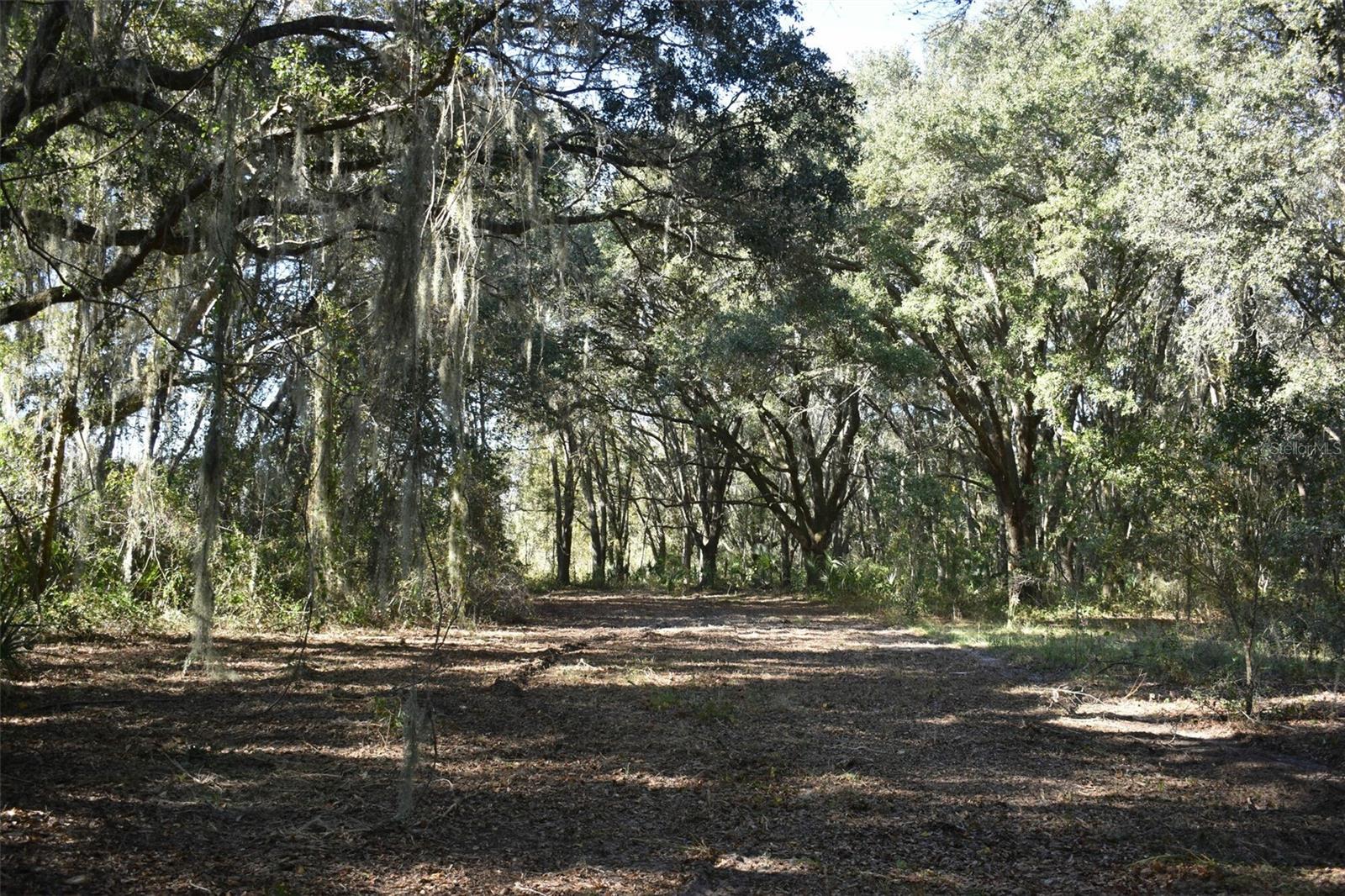 13800 COUNTY ROAD 450, UMATILLA, FL — photo 79