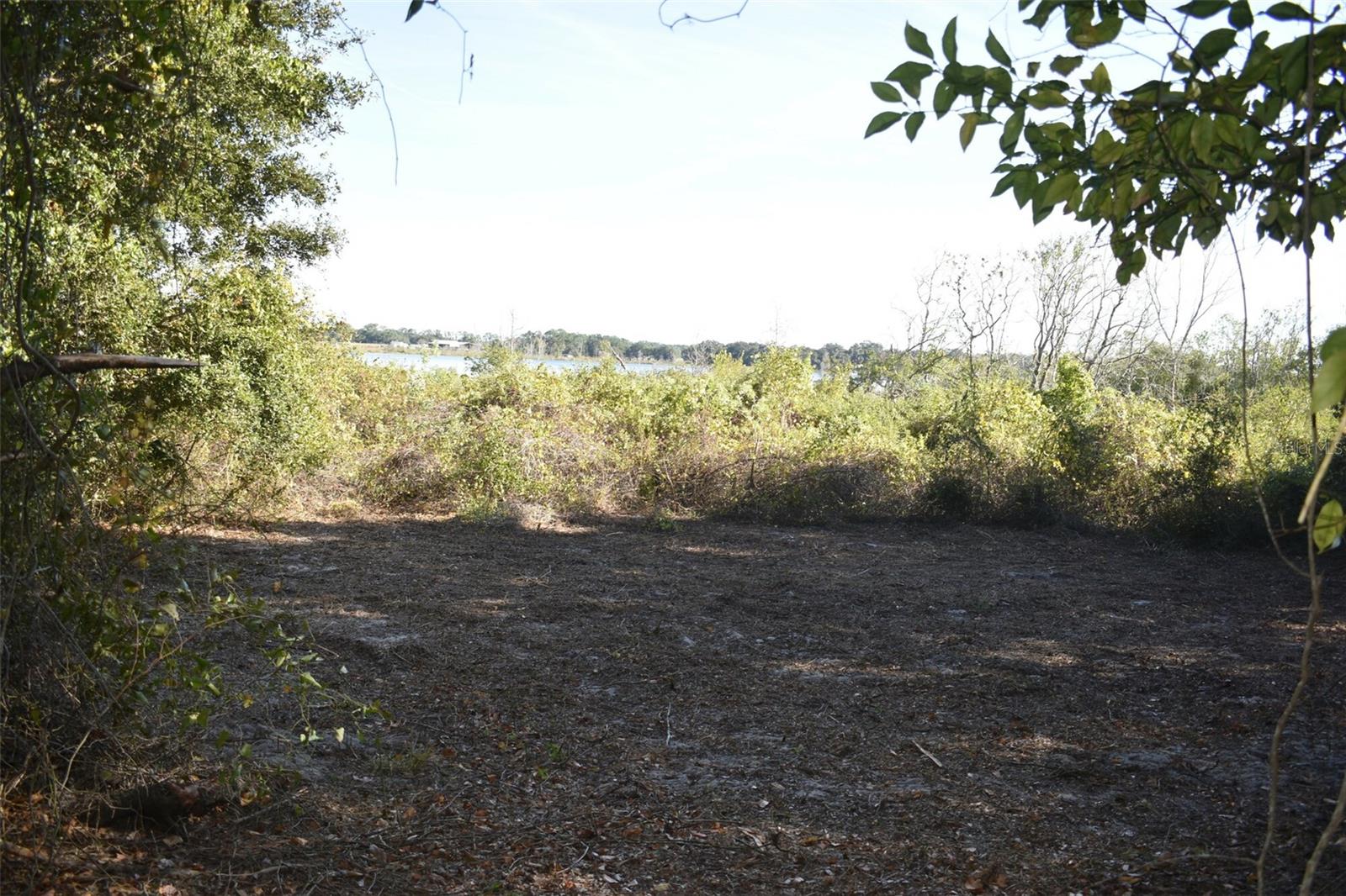 13800 COUNTY ROAD 450, UMATILLA, FL — photo 84