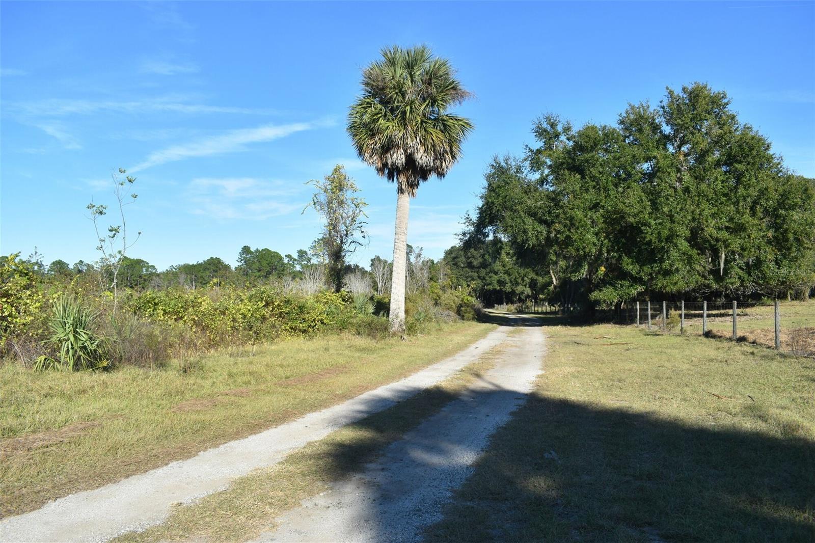 13800 COUNTY ROAD 450, UMATILLA, FL — photo 89
