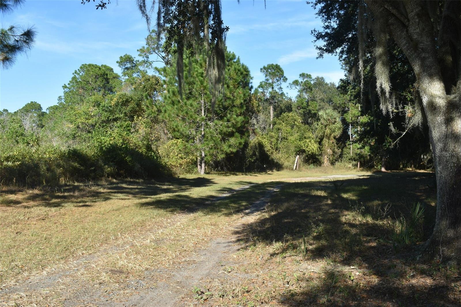 13800 COUNTY ROAD 450, UMATILLA, FL — photo 91
