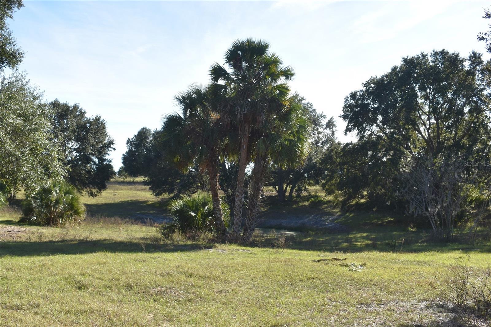 13800 COUNTY ROAD 450, UMATILLA, FL — photo 93