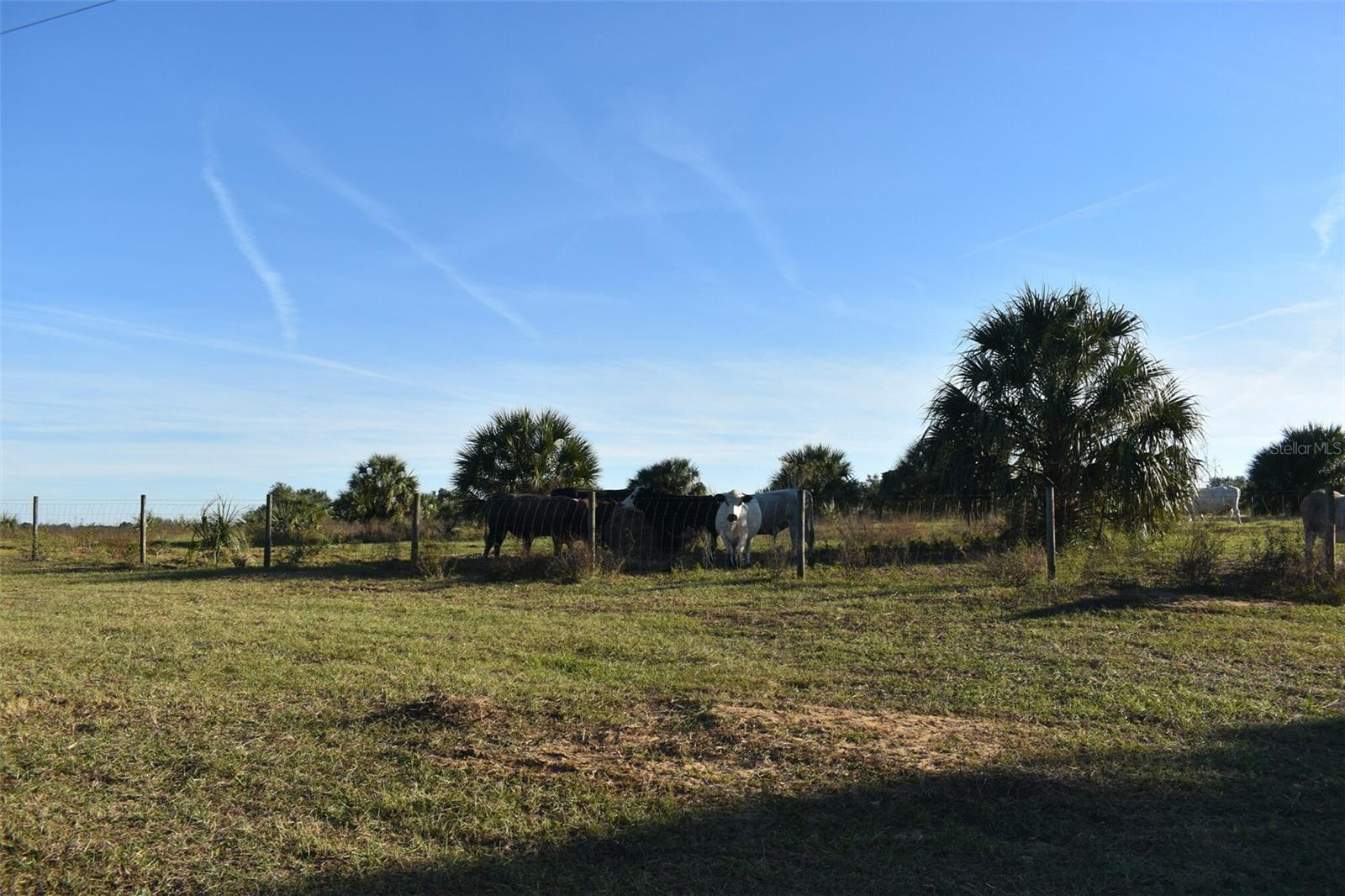 13800 COUNTY ROAD 450, UMATILLA, FL — photo 95