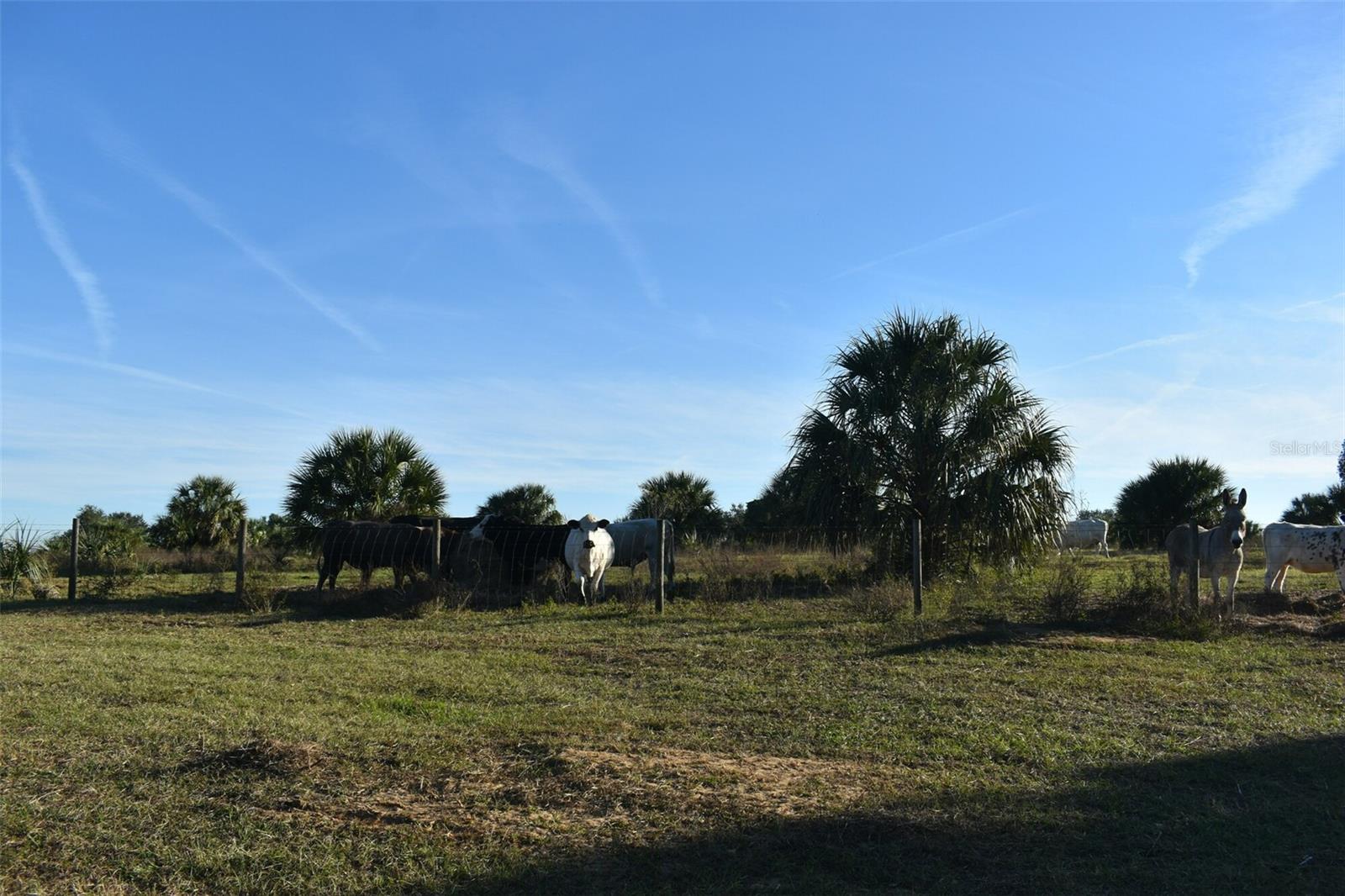 13800 COUNTY ROAD 450, UMATILLA, FL — photo 98