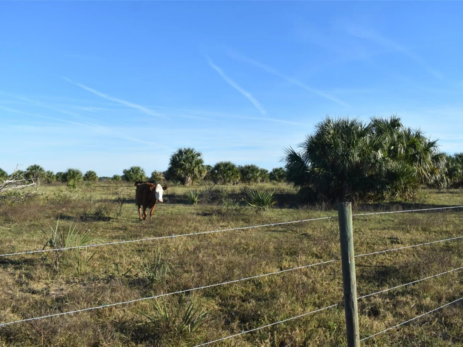 13800 COUNTY ROAD 450, UMATILLA, FL — photo 103