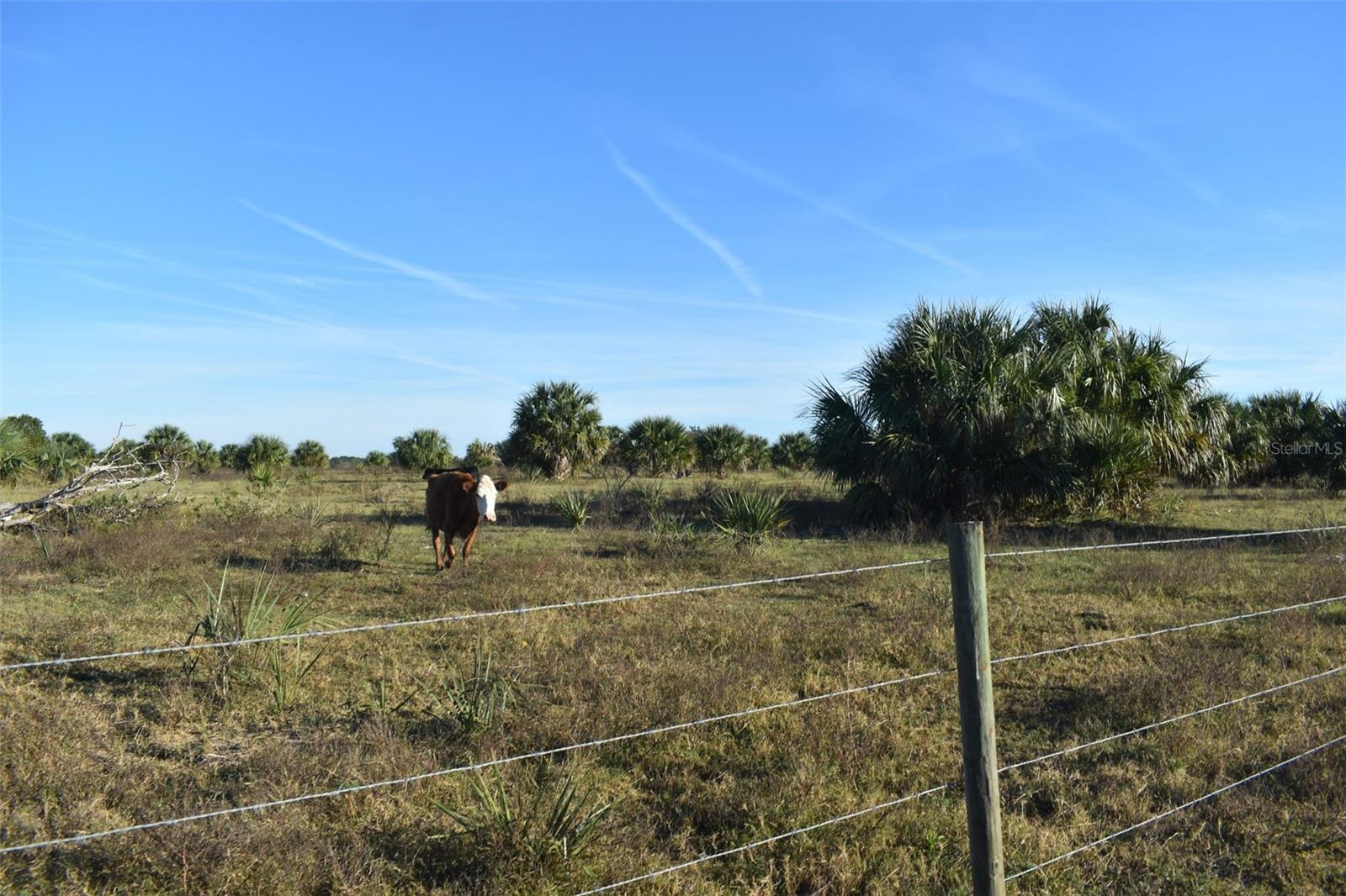 13800 COUNTY ROAD 450, UMATILLA, FL — photo 104