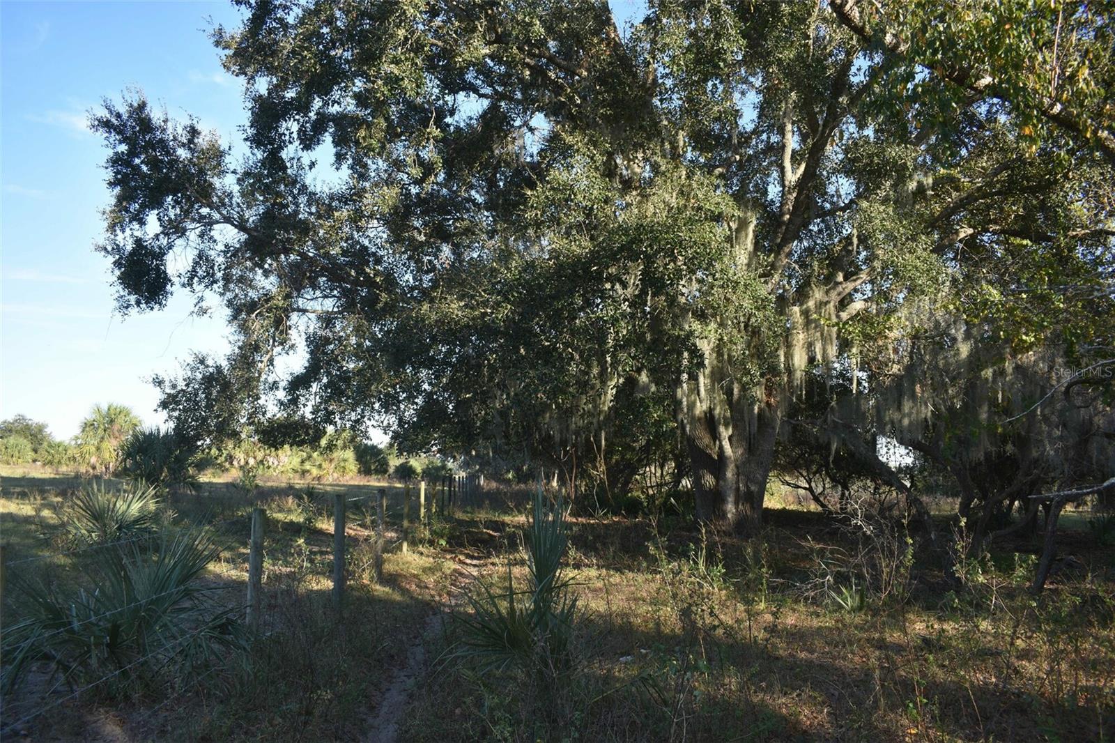 13800 COUNTY ROAD 450, UMATILLA, FL — photo 119