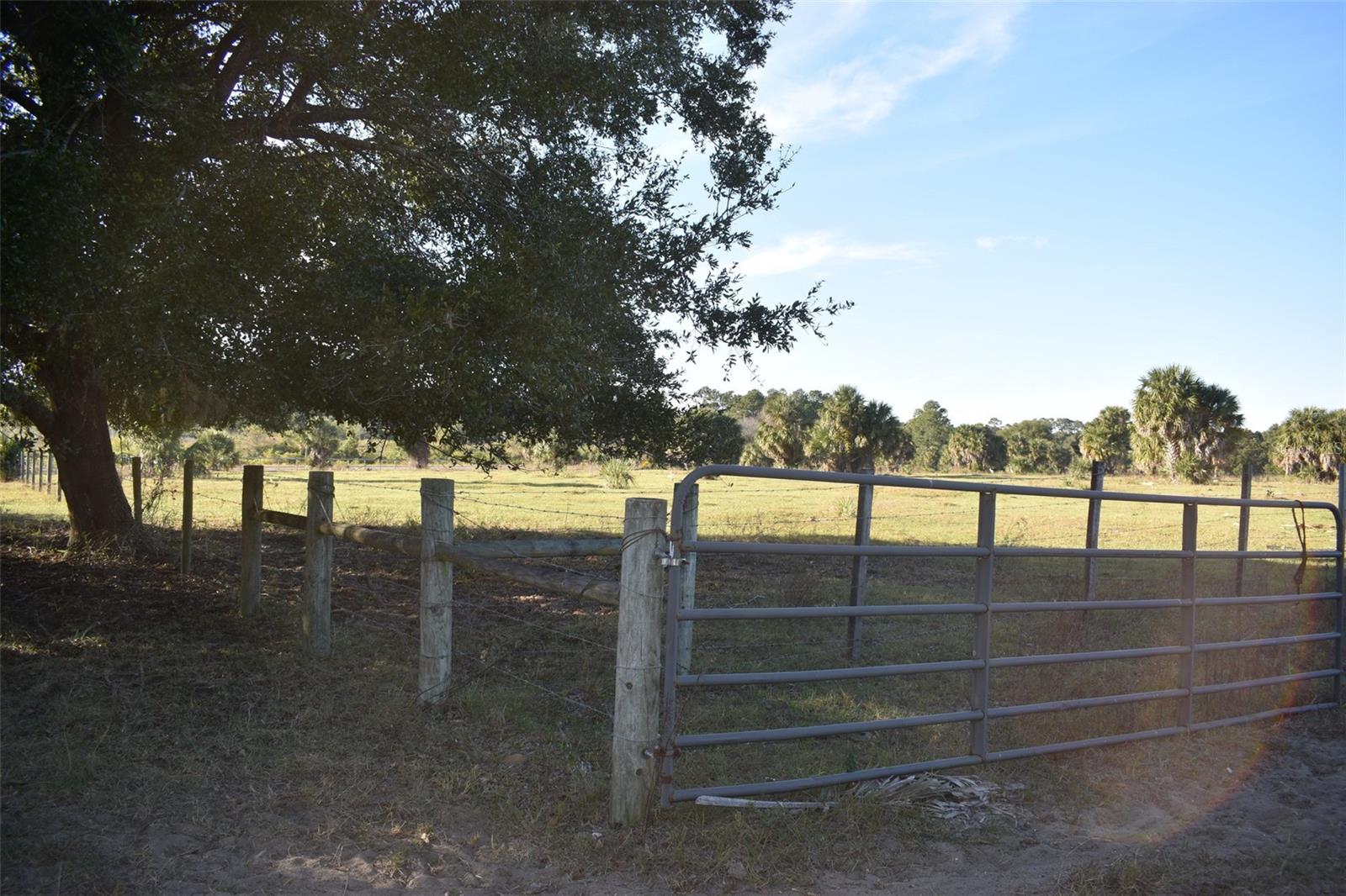 13800 COUNTY ROAD 450, UMATILLA, FL — photo 122
