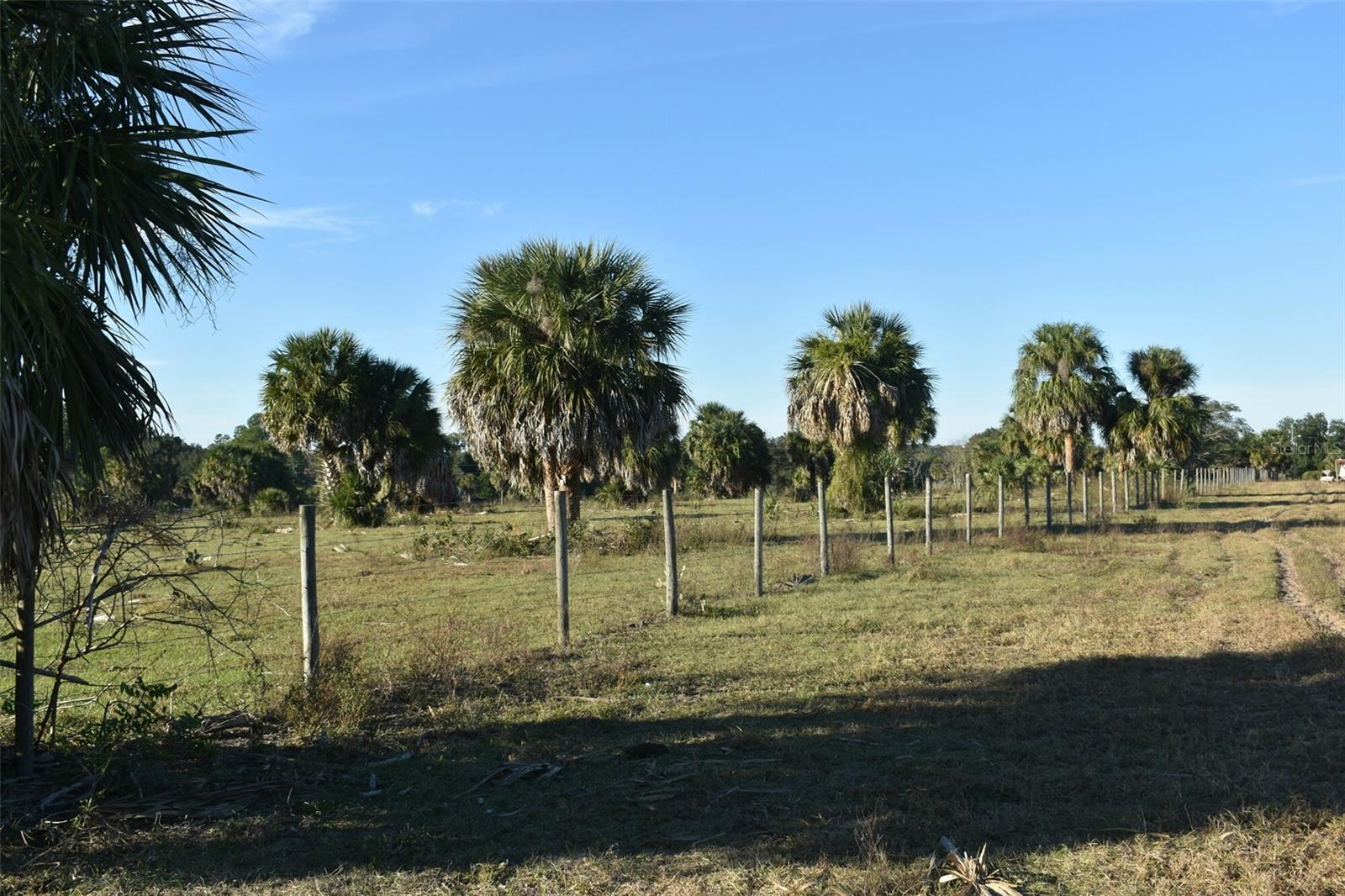 13800 COUNTY ROAD 450, UMATILLA, FL — photo 123