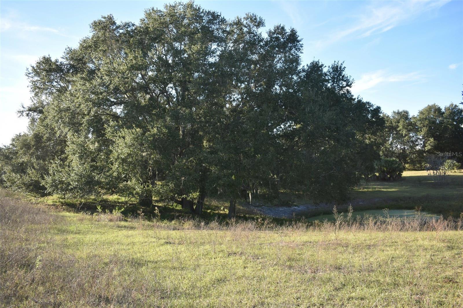 13800 COUNTY ROAD 450, UMATILLA, FL — photo 130