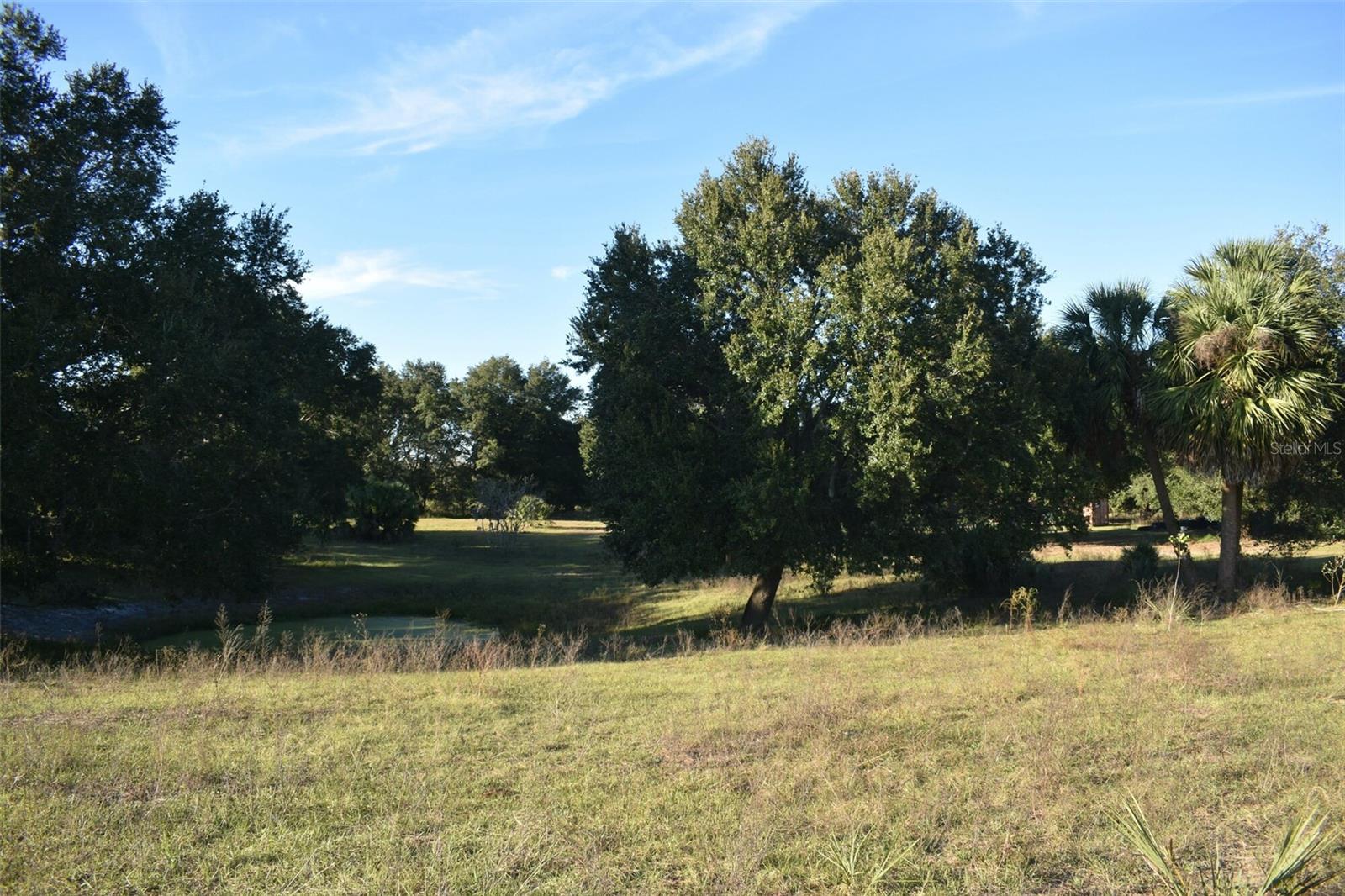 13800 COUNTY ROAD 450, UMATILLA, FL — photo 131