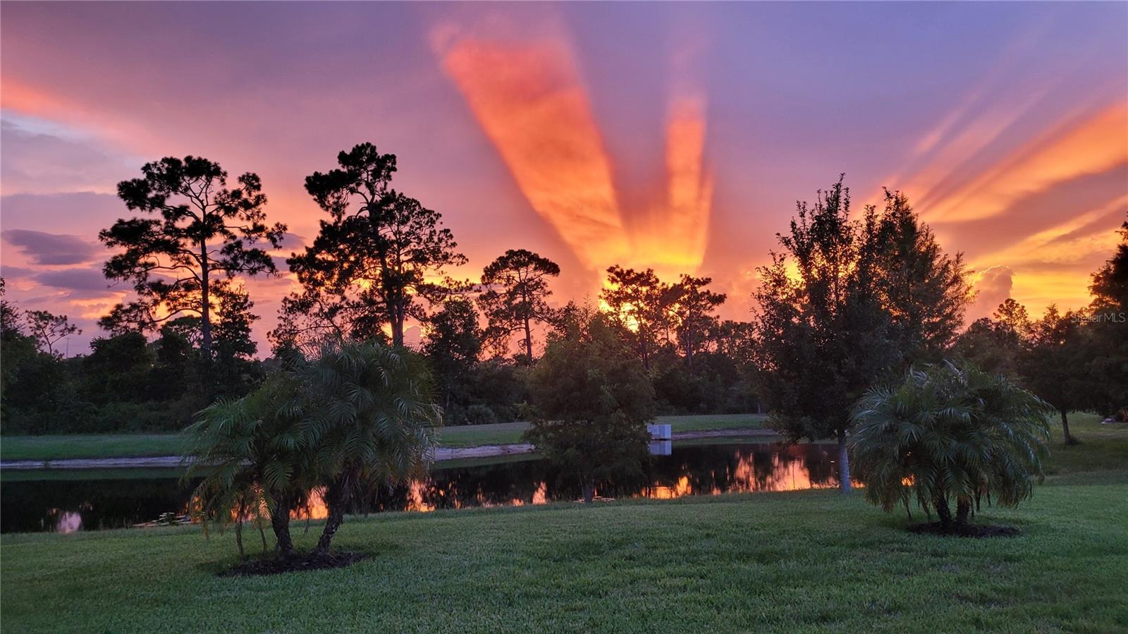 3879 WINGED ELM CT, CLERMONT, FL — photo 31