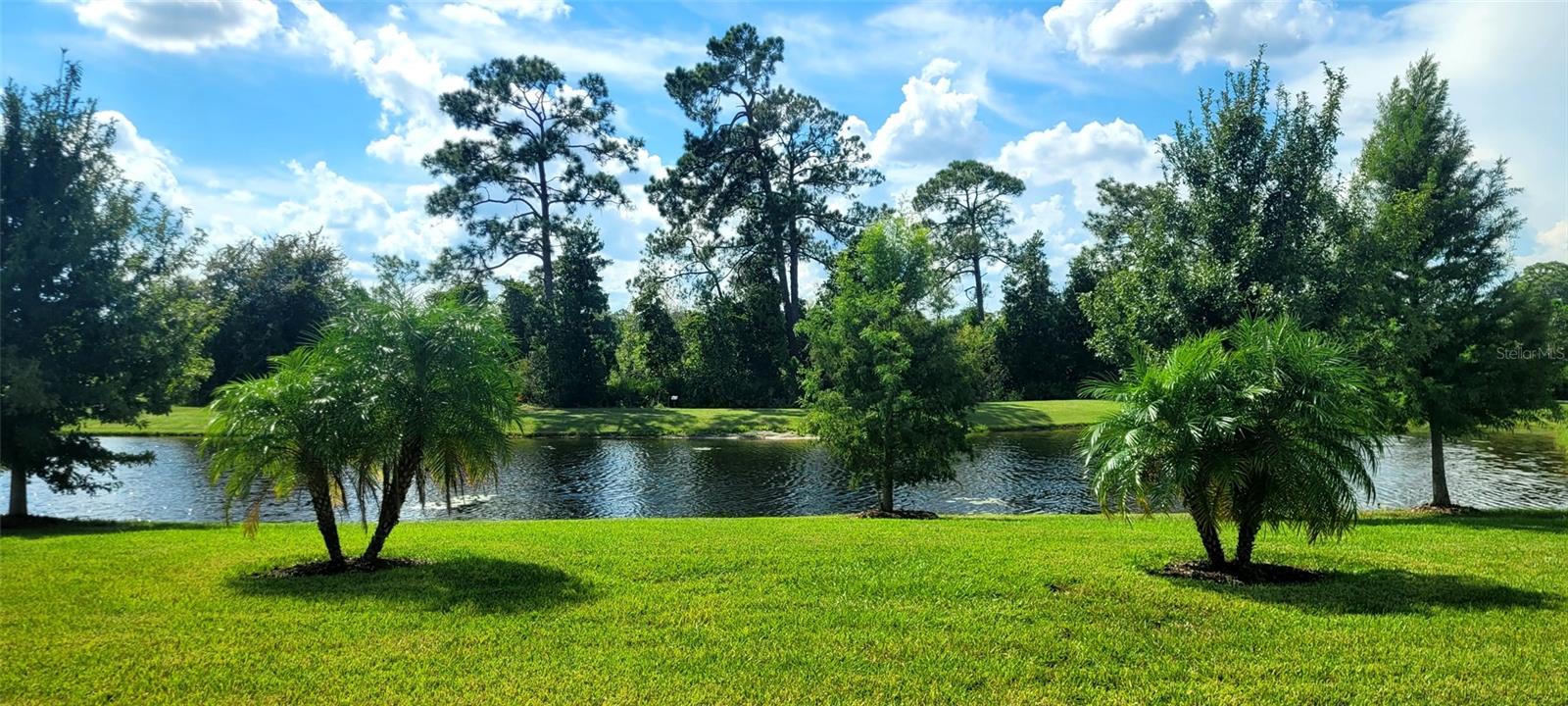 3879 WINGED ELM CT, CLERMONT, FL — photo 35