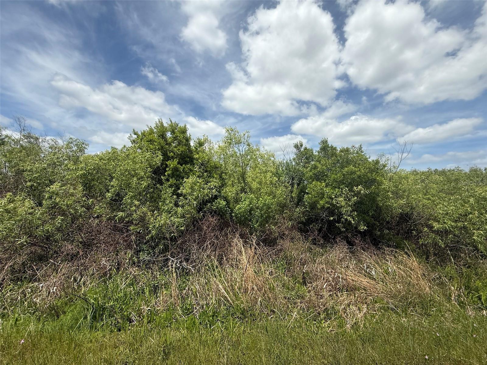 15837 NW 282ND ST, OKEECHOBEE, FL