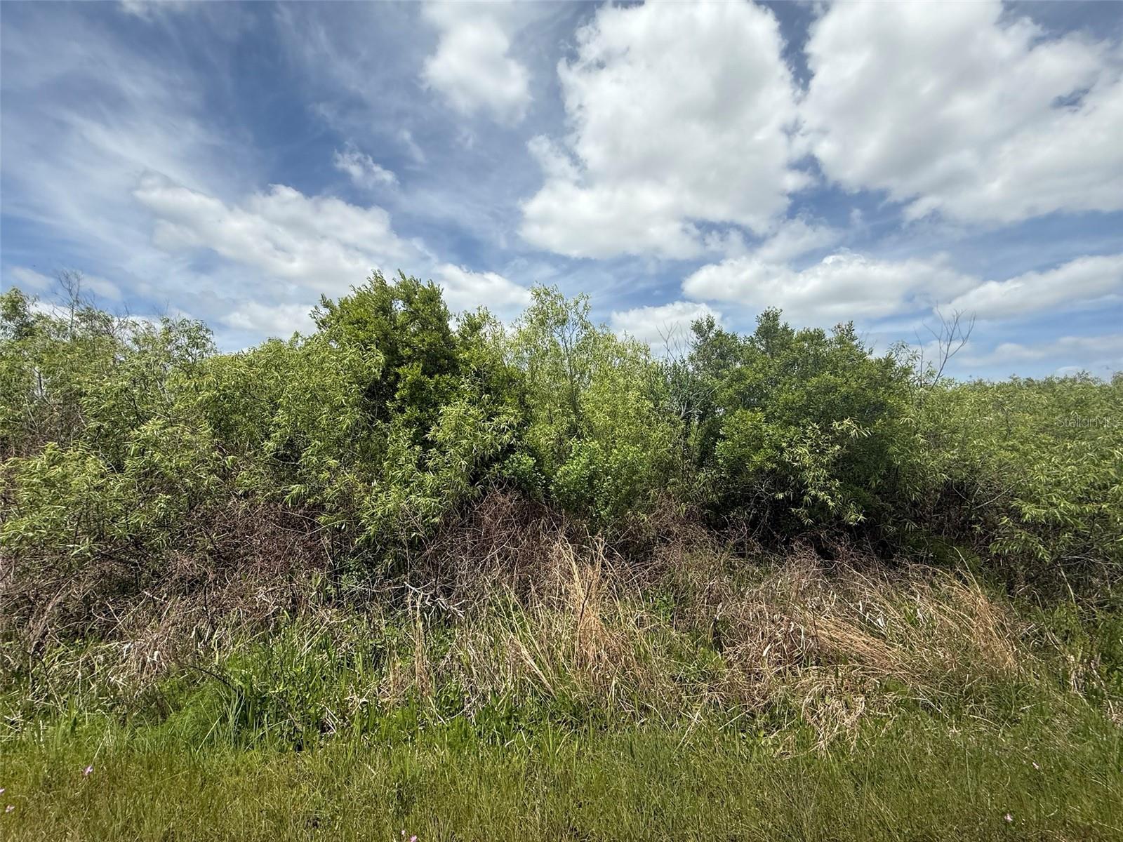 15837 NW 282ND ST, OKEECHOBEE, FL — photo 2