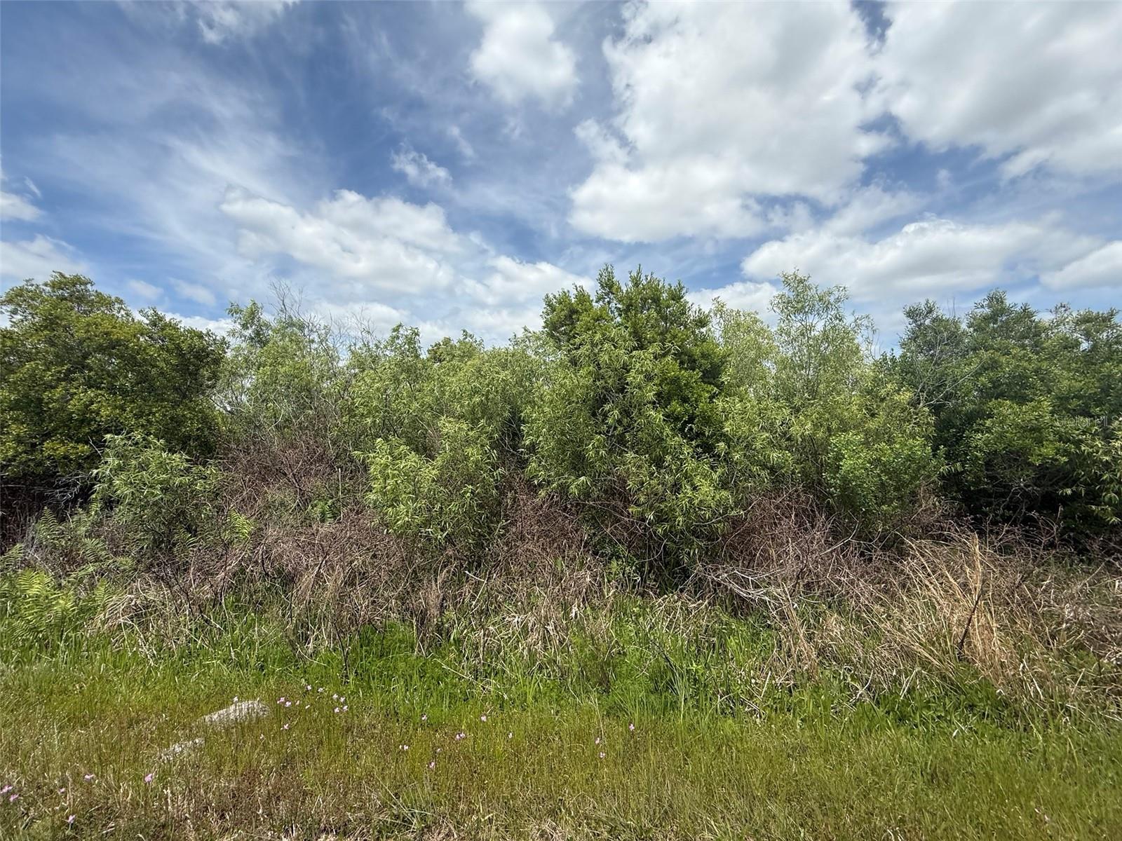 15837 NW 282ND ST, OKEECHOBEE, FL — photo 3